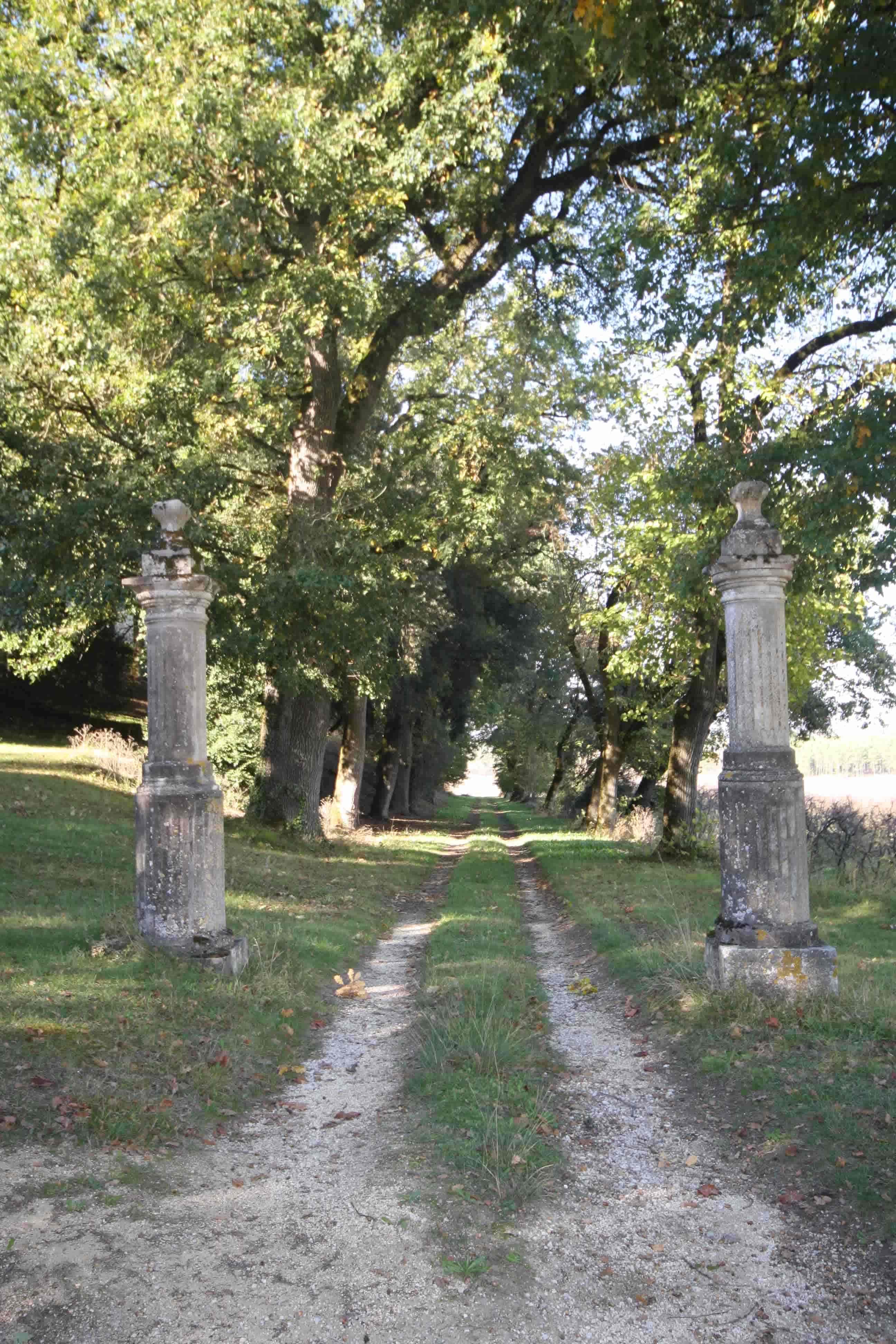 Le chemin du verger du chateau de Born